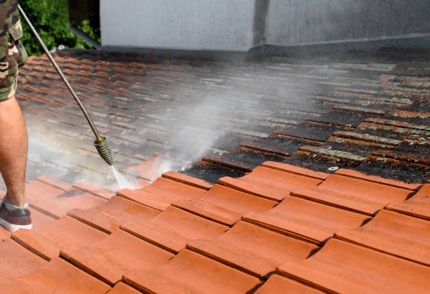 Best Garage Pressure Washing  in Wyldwood, TX