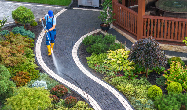 Best Pressure Washing Driveway  in Wyldwood, TX